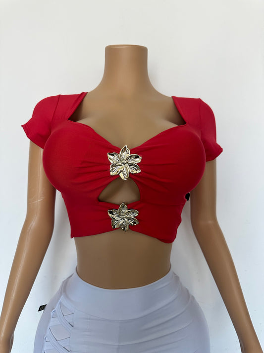 Crop brasileño flor COD:356